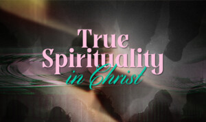 Series cover of True Spirituality in Christ: Malachi Book Study